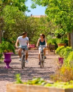 🚴‍♀️ Balades à vélo autour de Marseillan-Plage 🌊
Depuis le Camping Beauregard Plage, partez à l’aventure à vélo 🚲 !

Voie Verte du Lido → Marseillan à Sète avec vue mer (12 km)
Réserve du Bagnas → nature & flamants roses (14 km)
Boucle autour de l’étang de Thau (58 km) pour les plus sportifs
Pistes cyclables à deux pas du camping !

Bornes, réparations & cabanes étapes pour cyclistes sur place.

#CampingBeauregardPlage #MarseillanPlage #BaladeVélo #Hérault #glamping #glampingdecharme #campinglife #vanlife